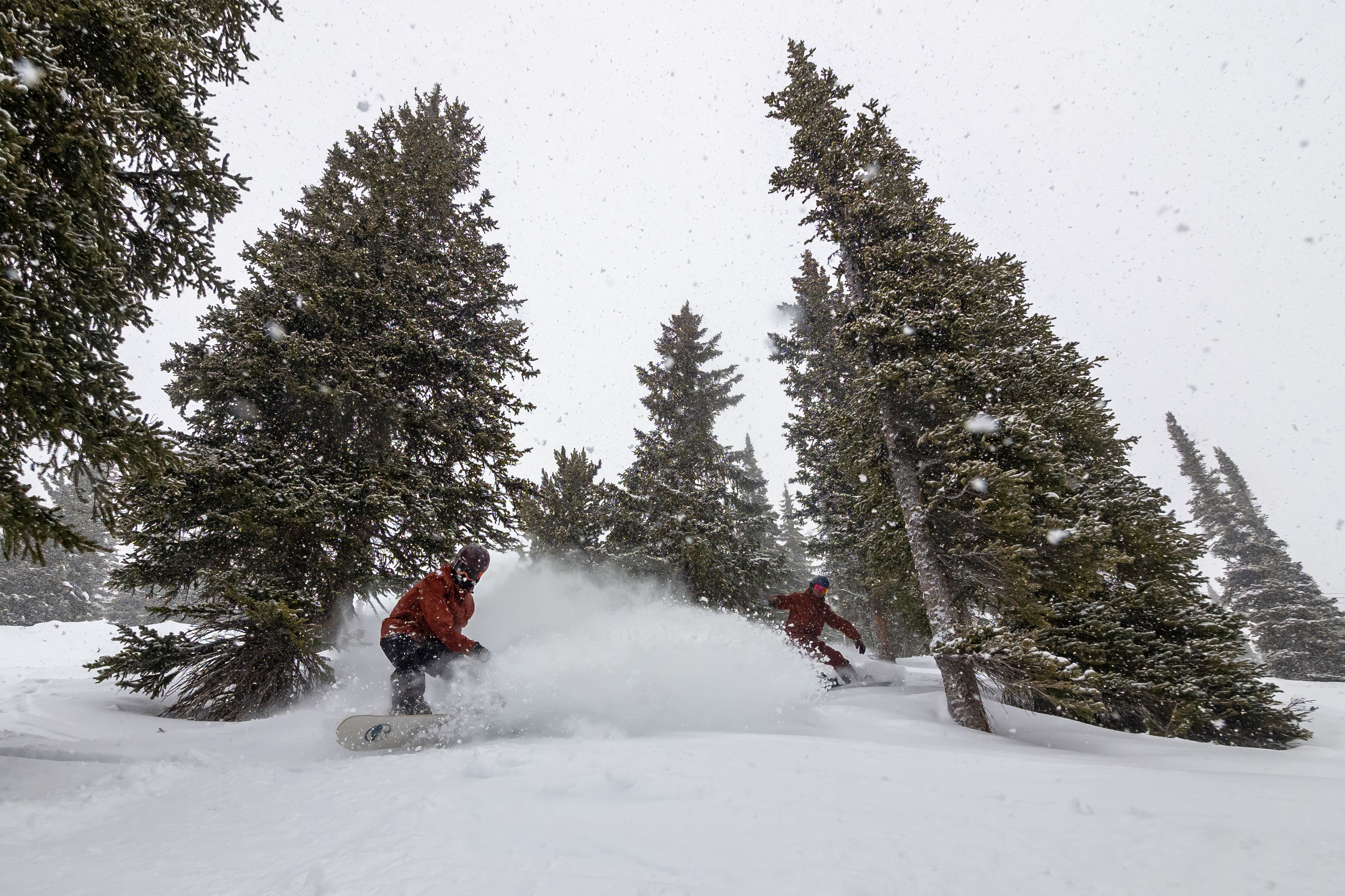 TELUS Learn to Snowboard Group Half Day Lesson: Level 1 (Age 13+)