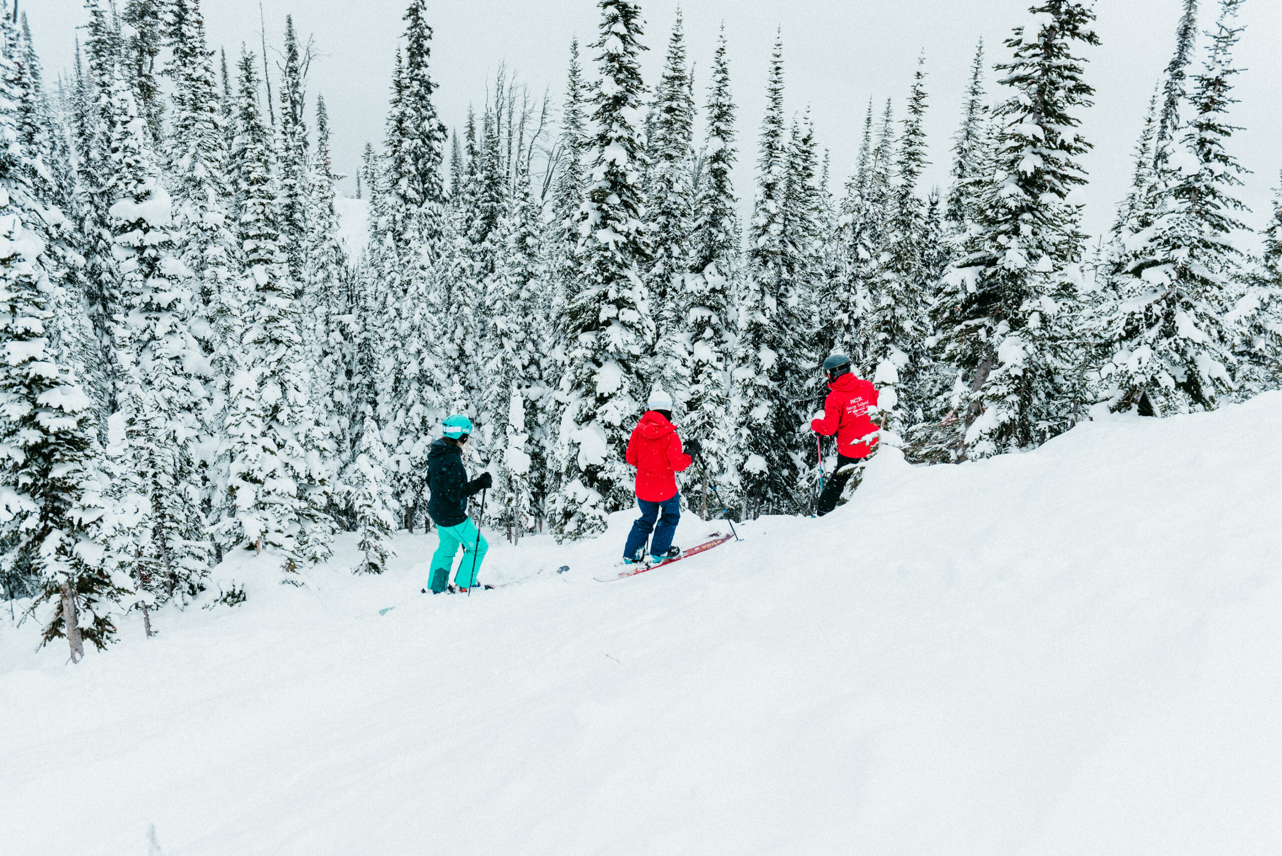 Adult Full Day Group Ski Lesson (Age 13+)