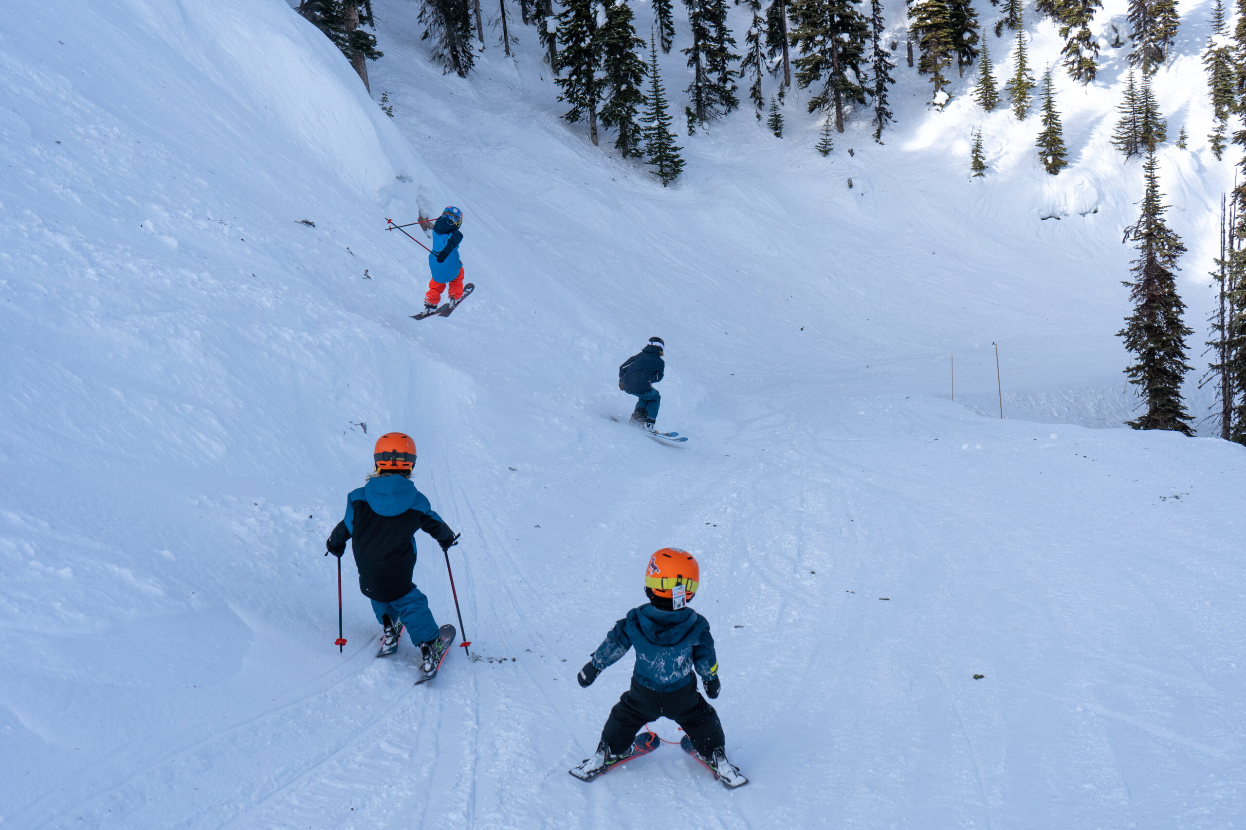 TELUS Learn to Ski Group Half Day Lesson: Level 1 (Age 6-12)
