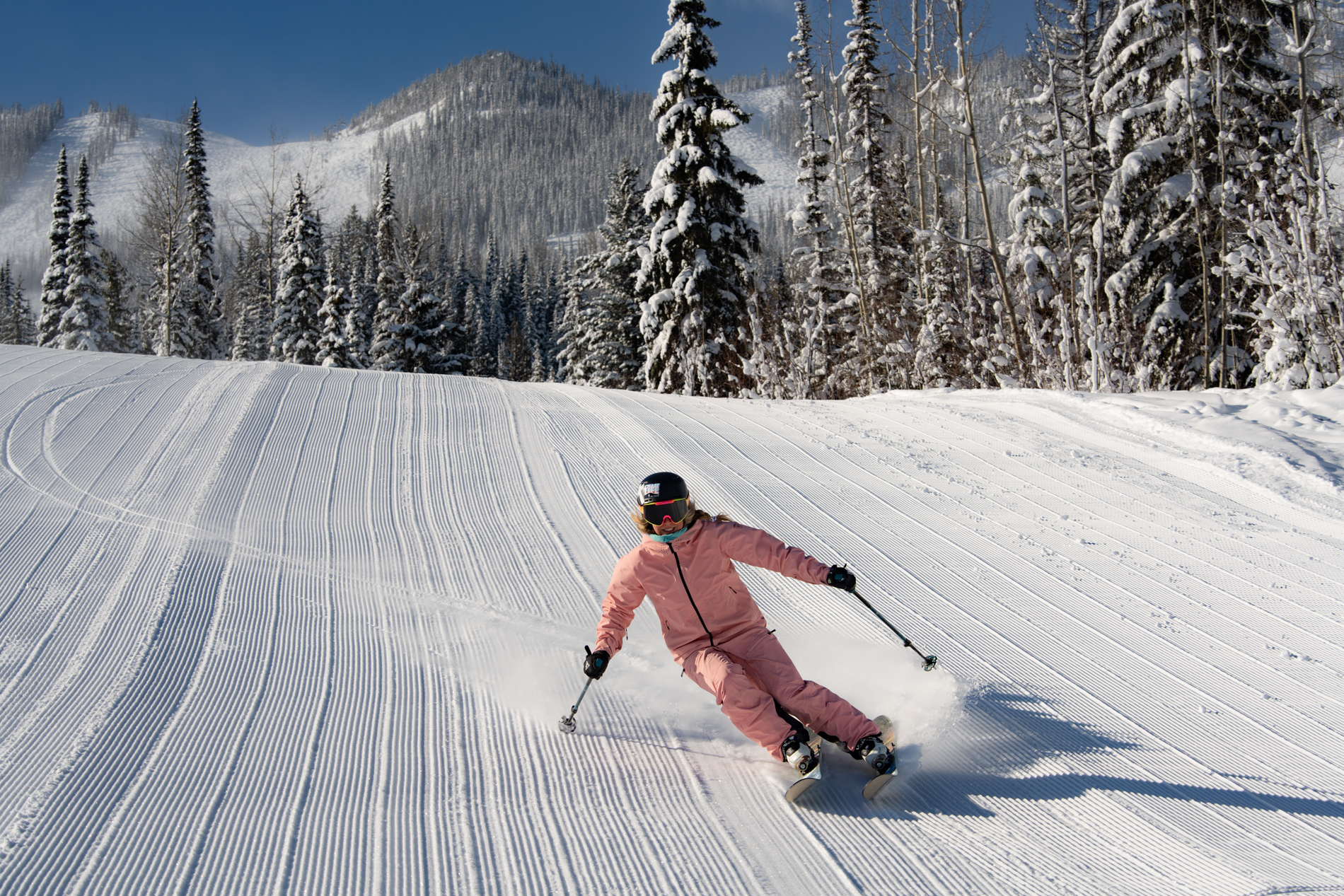 Adult Private Ski Lesson (Age 13+)