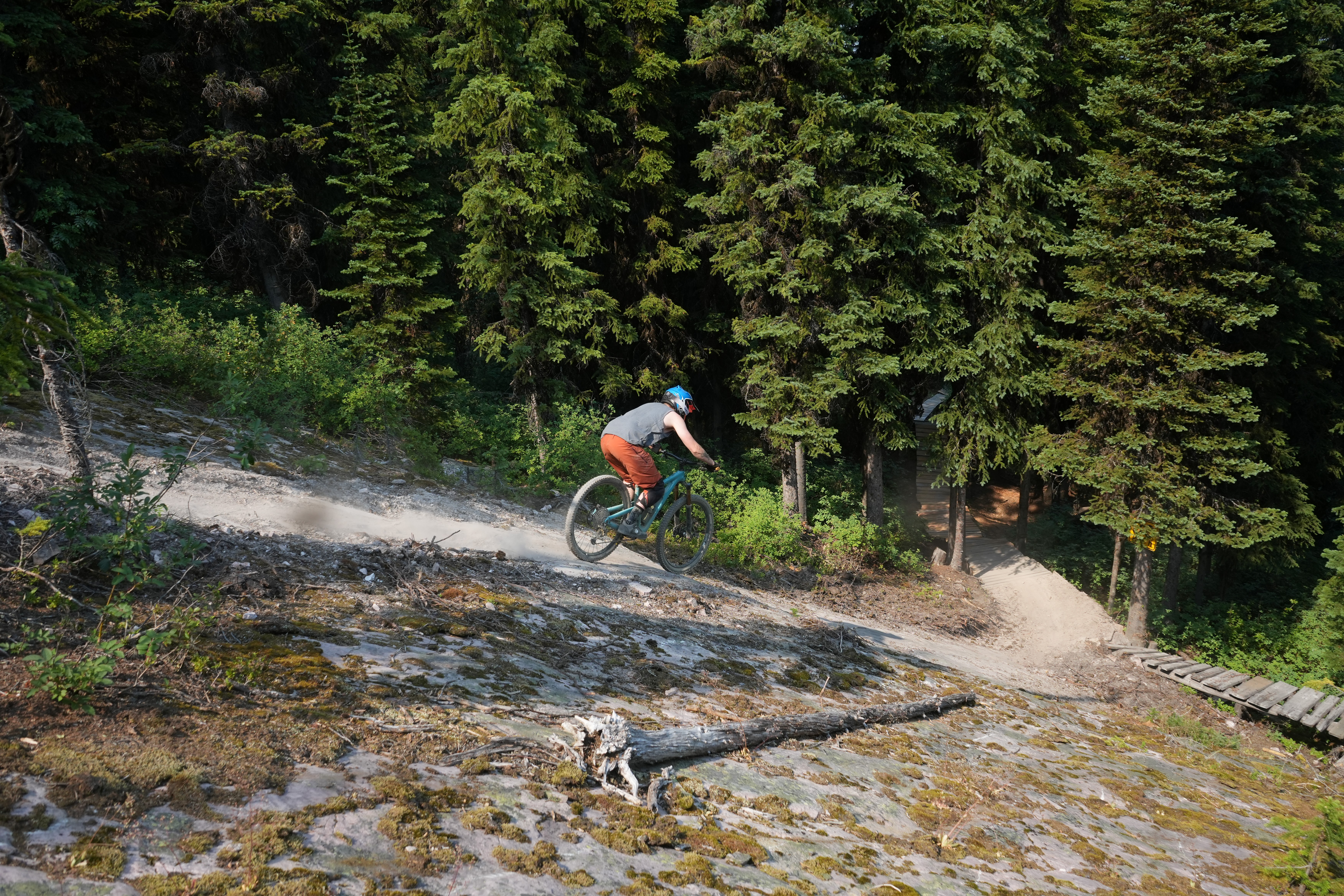 Mountain Bike Catamount Chair