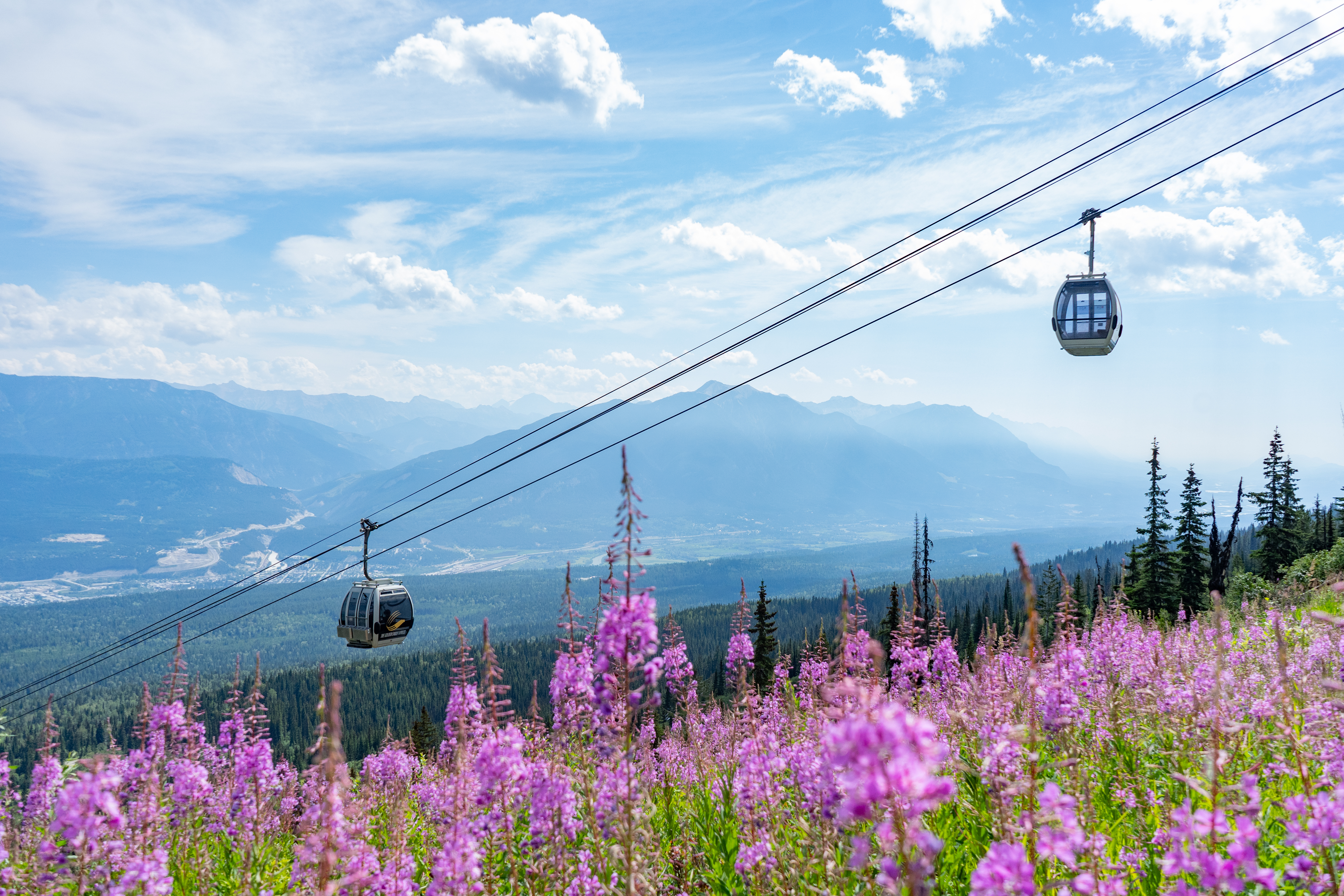 Adventure Pass